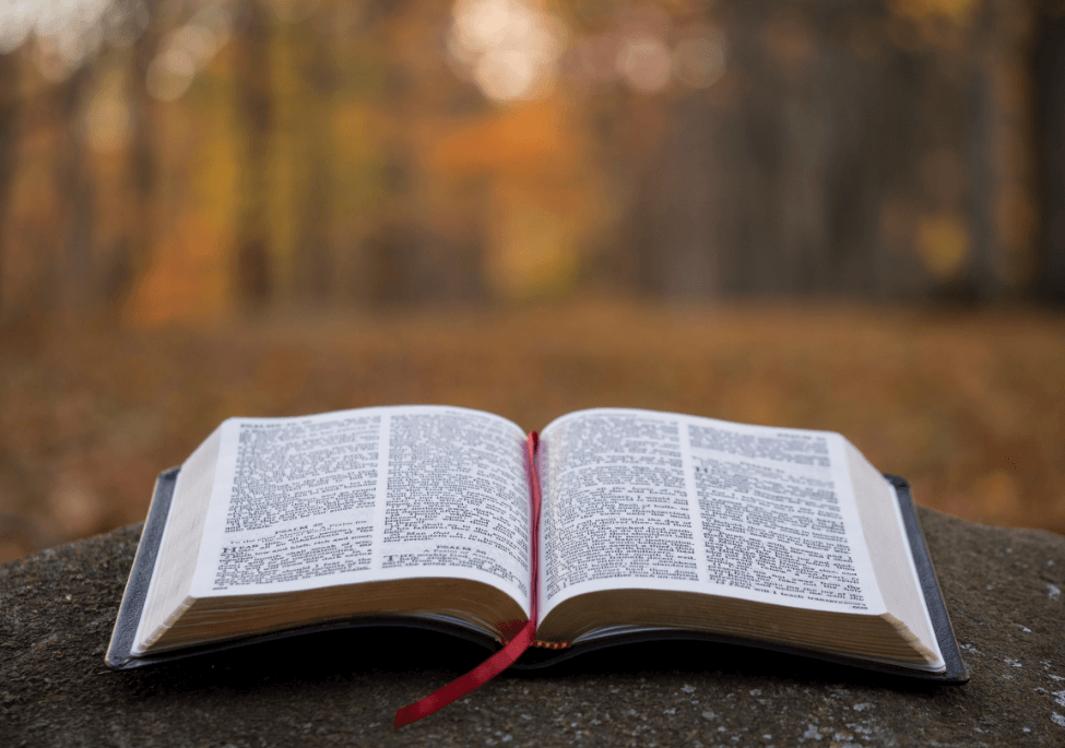 An open bible with an outdoor fall background